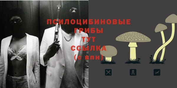 соль ск Лиски