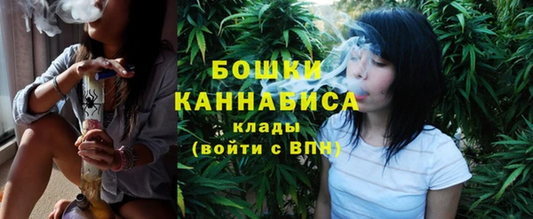 соль ск Лиски