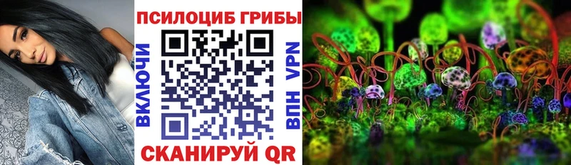 Галлюциногенные грибы GOLDEN TEACHER закладка blacksprut маркетплейс Сорск